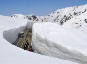 Великая снежная стена