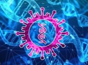 Хороший знак для ученых: обнаружены потенциальные мишени иммунного ответа на коронавирус