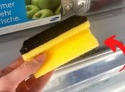 Фрукты, овощи и зелень останутся свежими надолго