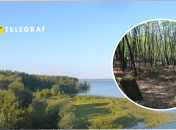 Как выглядит Трахтемиров сейчас