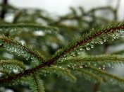 Прогноз погоды в Украине 18 декабря: похолодание и штормовой ветер, местами снег