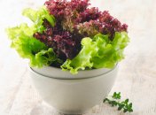 Салатная зелень: ее виды, применение и хранение