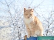 Синоптики сообщают об очередном изменении погоды