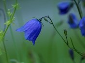 Прогноз погоды на 7 сентября в Украине: синоптики прогнозируют грозы и шквалы