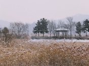 Какой завтра праздник: обычаи, традиции 14 декабря