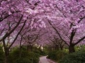 28 марта. 5 вещей «made your day»