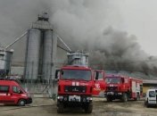 В Ивано-Франковской области горел свинокомплекс 