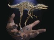 На Мадагаскаре найдены останки миниатюрного предка динозавров и птерозавров