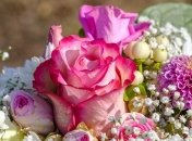 Татьянин день 2019: лучшие смс поздравления с Татьяниным днем, открытки