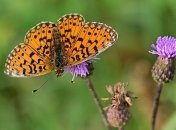 Какие завтра праздники: традиции и приметы на 29 июня