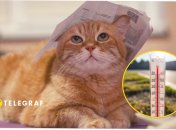 У першій декаді липня очікується мінлива температура, та буде й спека