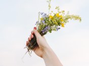 Многозначность слова "пучок"