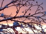 Какой завтра праздник: обычаи традиции на 24 ноября