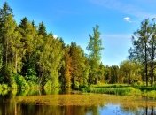 Погода в Украине 4 июля: в некоторых областях - дожди 