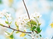 Какой праздник 29 марта: народные приметы и запреты