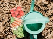 Семенам нужна подготовка перед посадкой