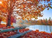 Осень золотая