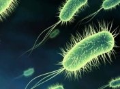 Ученые: бактерии приобрели устойчивость к дезинфекции спиртом 