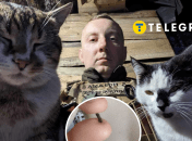 Станислав Асеев пострадал на фронте