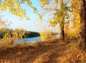 Когда наступит бабье лето?