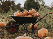 Праздник "День Осия Колесника" отмечается в 2023 году 17 октября (ранее 30 октября)