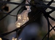 Сильные заморозки: жителей столицы предупредили о снижении температуры воздуха