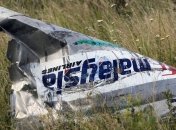 Специалисты обнаружили новые останки на месте падения МН-17