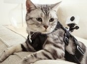 Xiaomi выпустила конкурента GoPro за $64. Фото