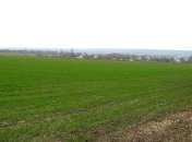 Аграрии уже засеяли озимыми 81% запланированных площадей