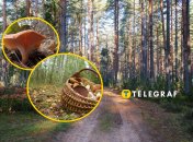 Говорушка перевернутая