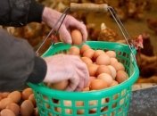 "Яичный скандал": зараженные яйца могли попасть в семь стран ЕС