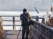 Wildlife Photographer of the Year: названо найкращого фотографа дикої природи 2019