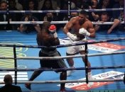 Бокс. Паркер: Джошуа - середняк