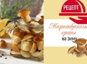Как законсервировать грибы на зиму: рецепт маринованных грибочков с пряностями