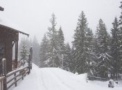 Украину заметает: В Карпатах насыпало более полметра снега