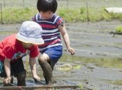 Япония бьет рекорды по количеству детских самоубийств