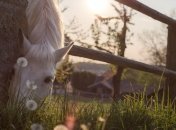 Приметы и обряды на 31 октября – Луков день