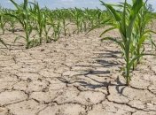 Україна прийме участь у дискусіях G20 про світову продовольчу безпеку