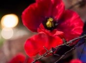 Сегодня в Украине - День памяти и примирения