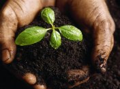 "Батькивщина": Олигархи за бесценок скупят черноземы  