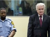 Караджич требует пересмотреть судебное решение