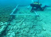 "Подводное шоссе древнего мира": в Хорватии под водой обнаружена дорога, которой 7 тысяч лет (видео)