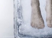 Замороженных людей можно будет возвращать к жизни уже через 50 лет