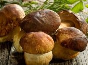 Первая помощь при отравлении грибами