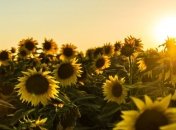 В Україні буде спекотно, опади обіцяють у Карпатському регіоні