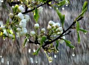 На Украину движутся грозы и жара +33: синоптики объяснили, куда качнет погодный "маятник"