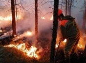 Пожары в лесах Сибири заметно сократились
