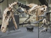Ученые нашли ранее неизвестного динозавра 