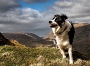 Какие 27 августа будут ветры, такой будет и осень