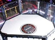 MMA: утверждены новые весовые категории